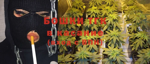хмурый Богородицк