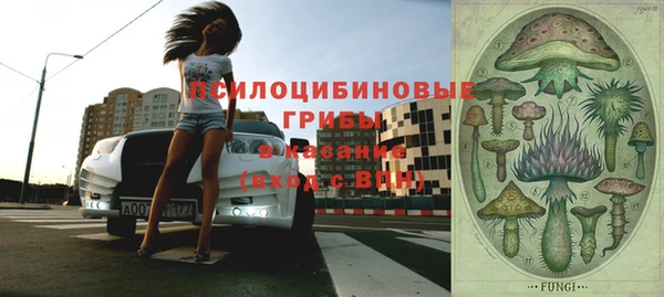 MDMA Бородино